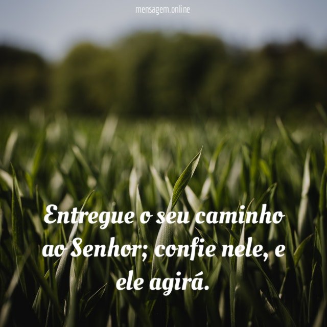 Entregue o seu caminho ao Senhor