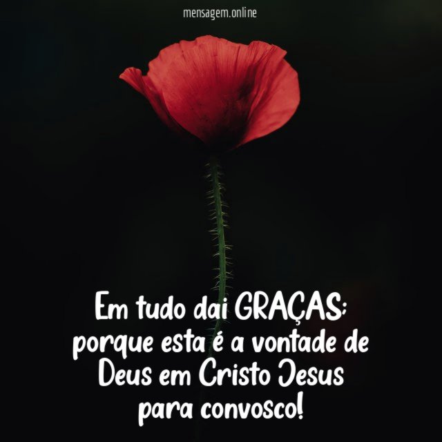 Em tudo dai GRAÇAS