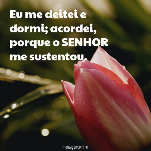 Eu me deitei e dormi