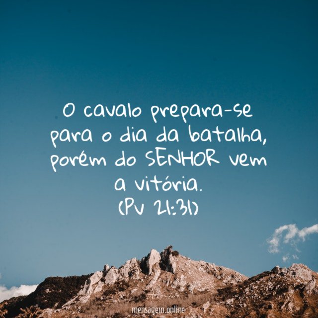 O cavalo prepara-se para o dia da batalha