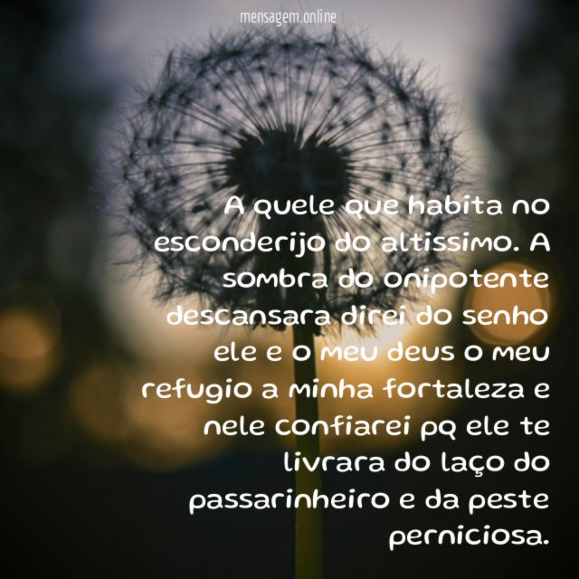 A quele que habita no esconderijo do altissimo