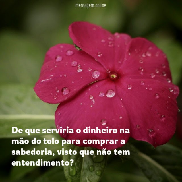 De que serviria o dinheiro na mão do