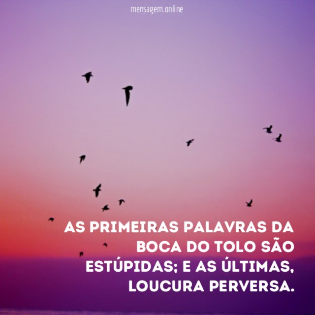 As primeiras palavras da boca do tolo são estúpidas