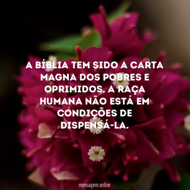 A Bíblia tem sido a carta magna dos pobres e oprimidos