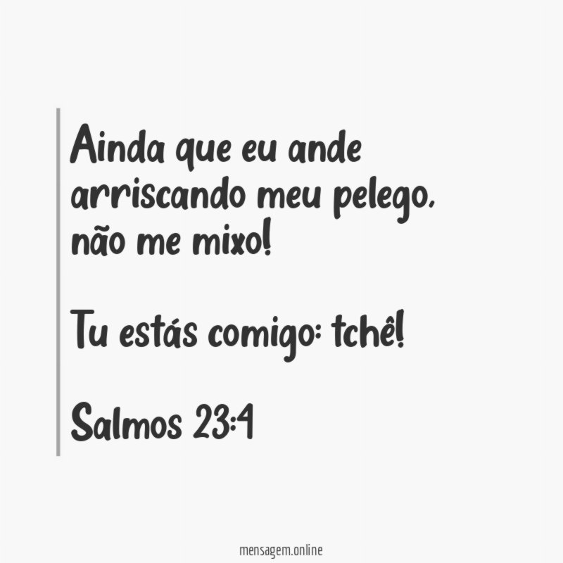 Ainda que eu ande arriscando meu pelego