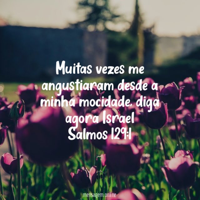 Muitas vezes me angustiaram desde a minha mocidade