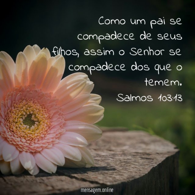Como um pai se compadece de seus filhos, assim o Senhor se compadece dos que o temem.