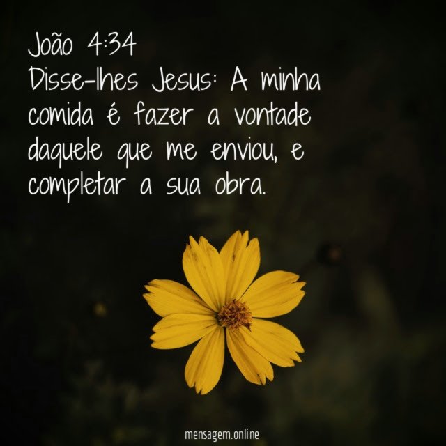 João 4