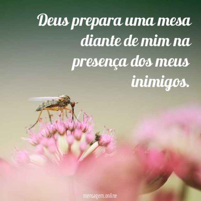 Deus prepara uma mesa diante de mim na