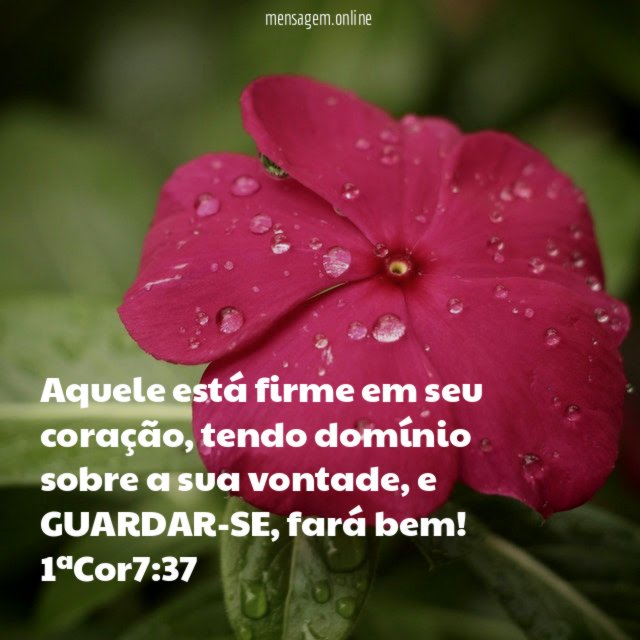 Aquele está firme em seu coração
