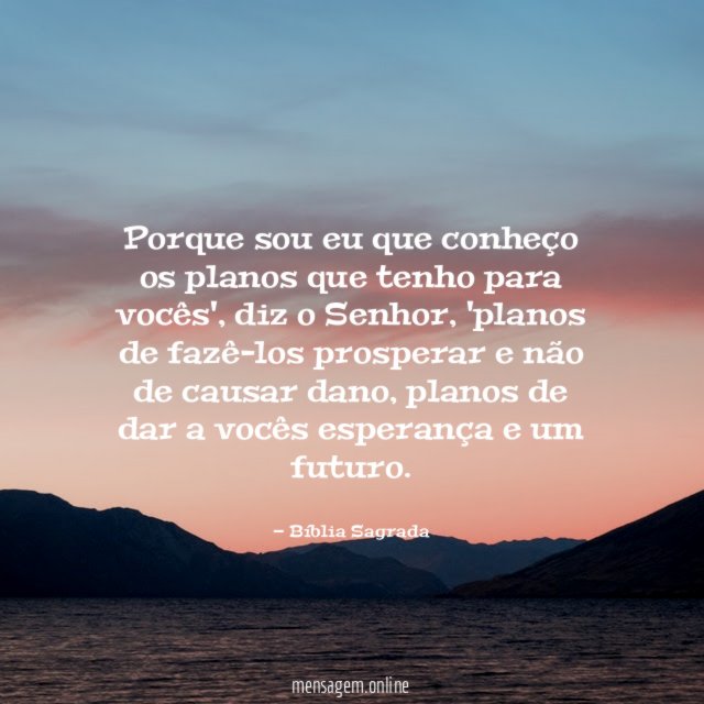 Porque sou eu que conheço os planos que