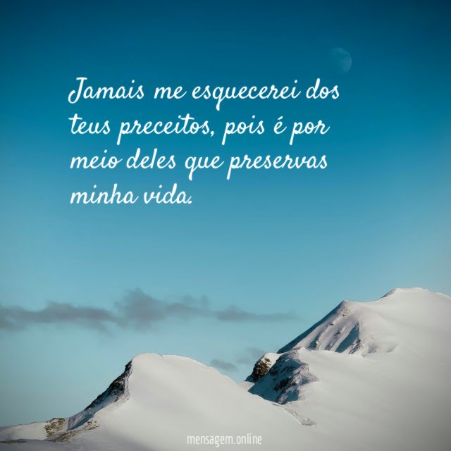 Jamais me esquecerei dos teus preceitos