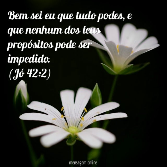Bem sei eu que tudo podes
