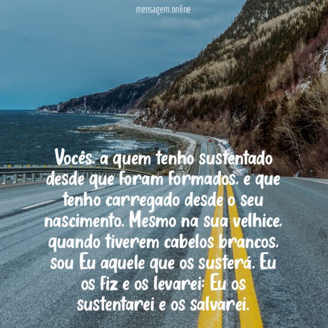 Vocês