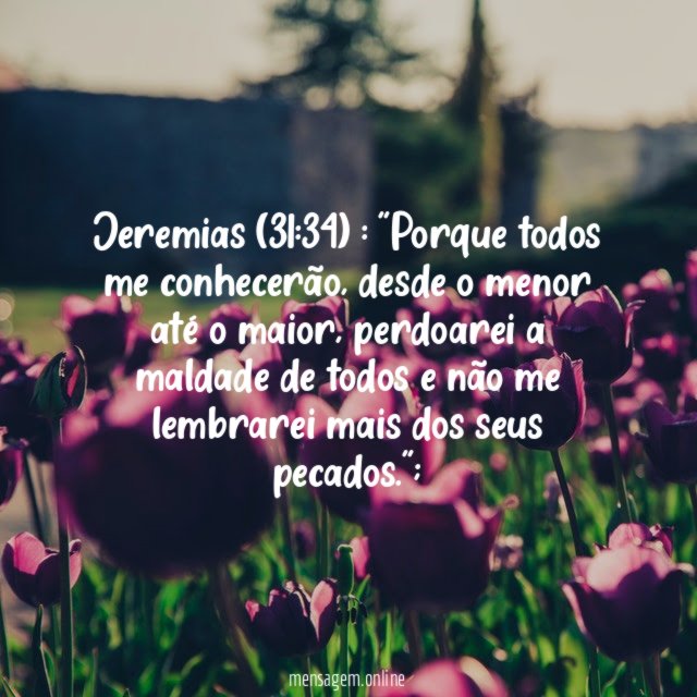 Jeremias (31