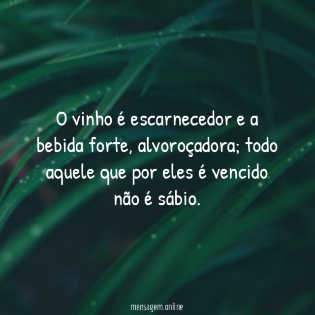 O vinho é escarnecedor e a bebida forte