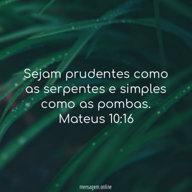 Sejam prudentes como as serpentes e simples como as pombas.