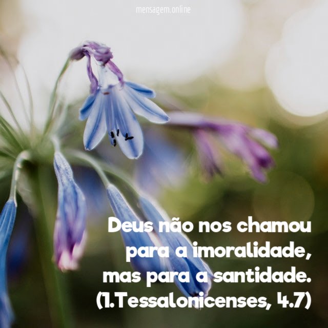 Deus não nos chamou para a imoralidade