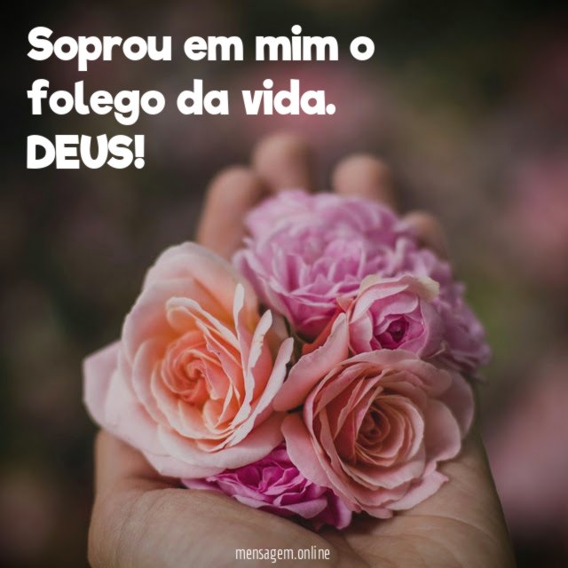 Soprou em mim o folego da vida