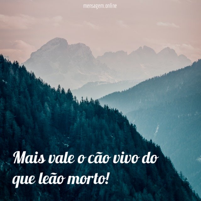 Mais vale o cão vivo do que leão morto