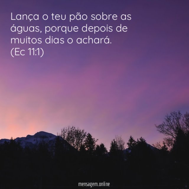 Lança o teu pão sobre as águas