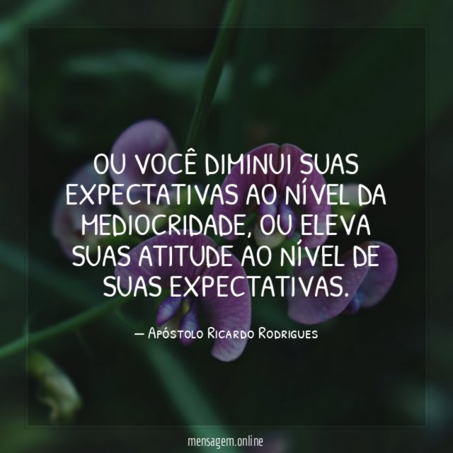 OU VOCÊ DIMINUI SUAS EXPECTATIVAS AO NÍVEL DA MEDIOCRIDADE