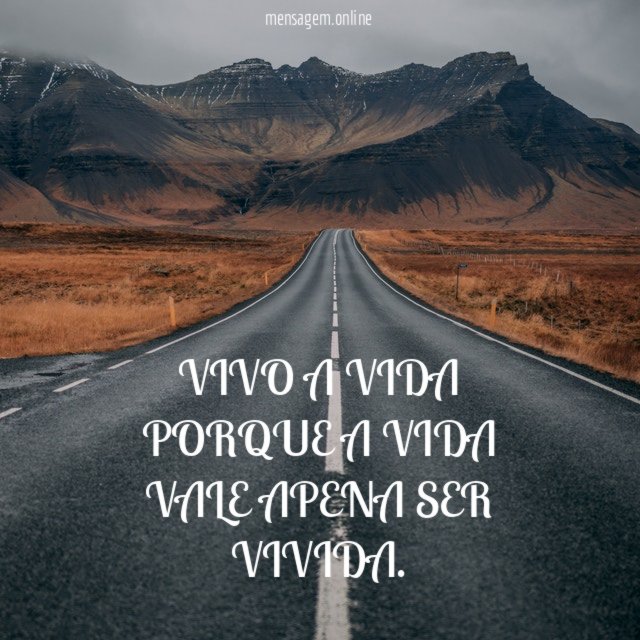 VIVO A VIDA PORQUE A VIDA VALE APENA SER VIVIDA