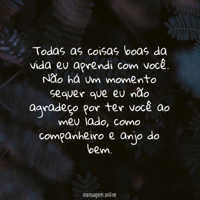 O que eu aprendi com você
