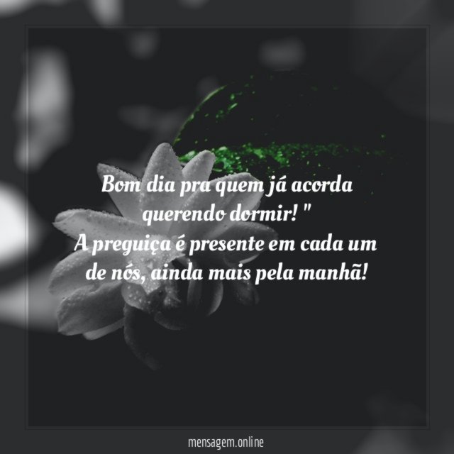 Sono companheiro
