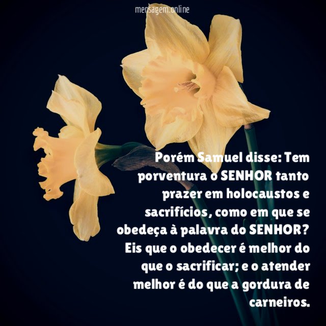 Porém Samuel disse