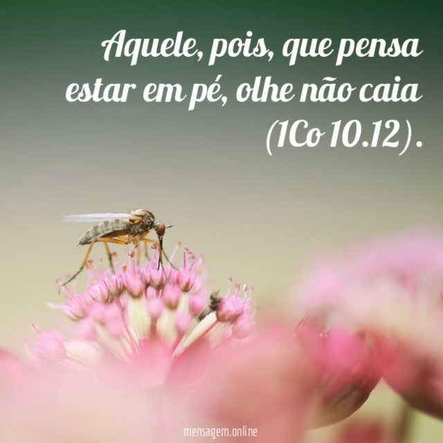 Aquele