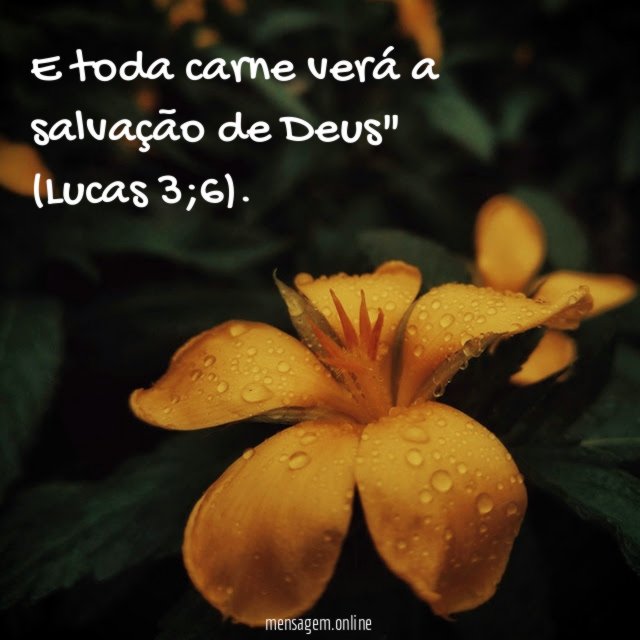 e toda carne verá a salvação de Deus" (Lucas 3