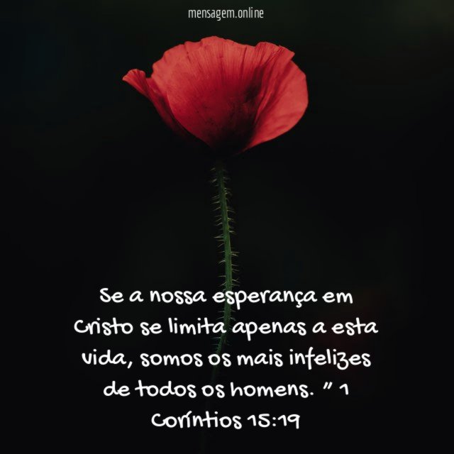 Se a nossa esperança em Cristo se limita
