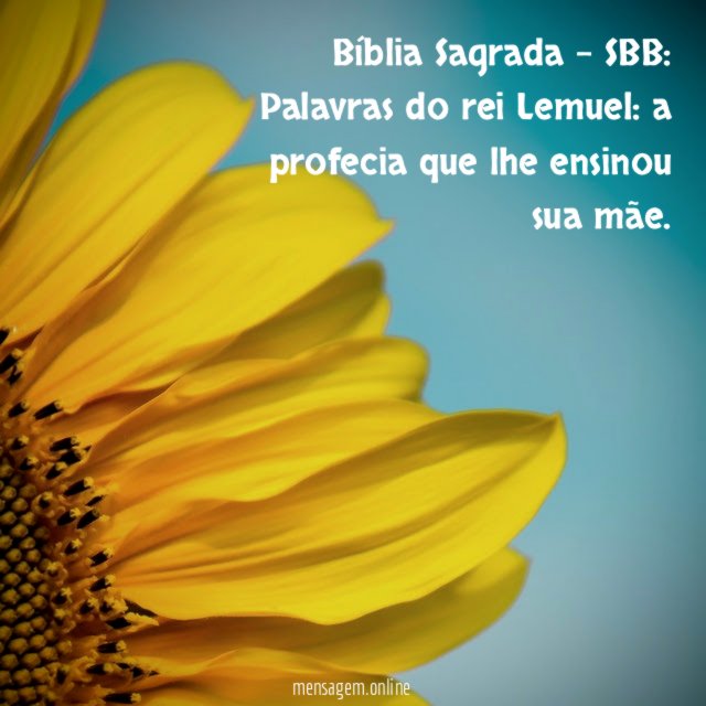 Bíblia Sagrada – SBB