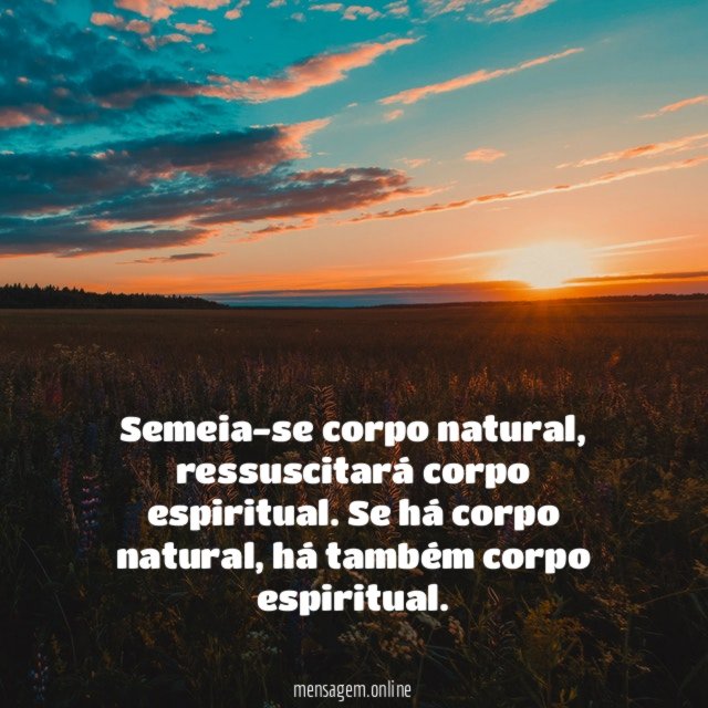 Semeia-se corpo natural