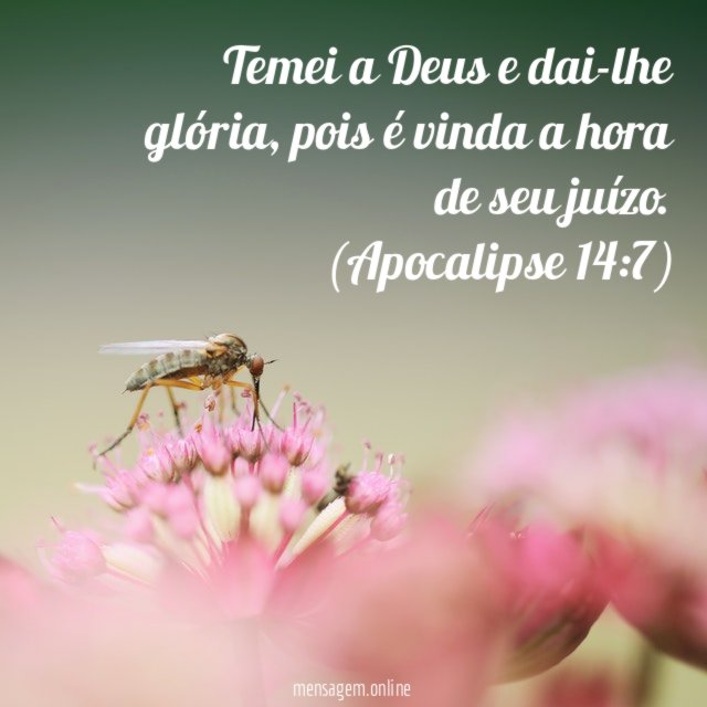 Temei a Deus e dai-lhe glória