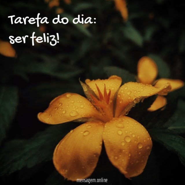 Obrigação diária