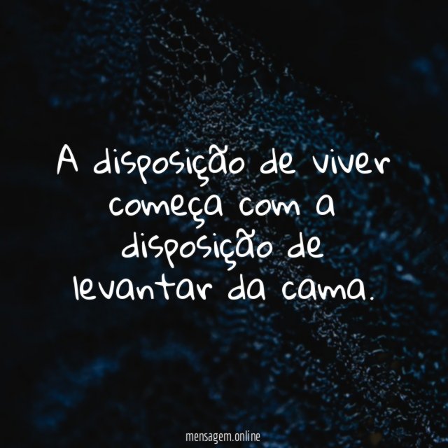 Disposição