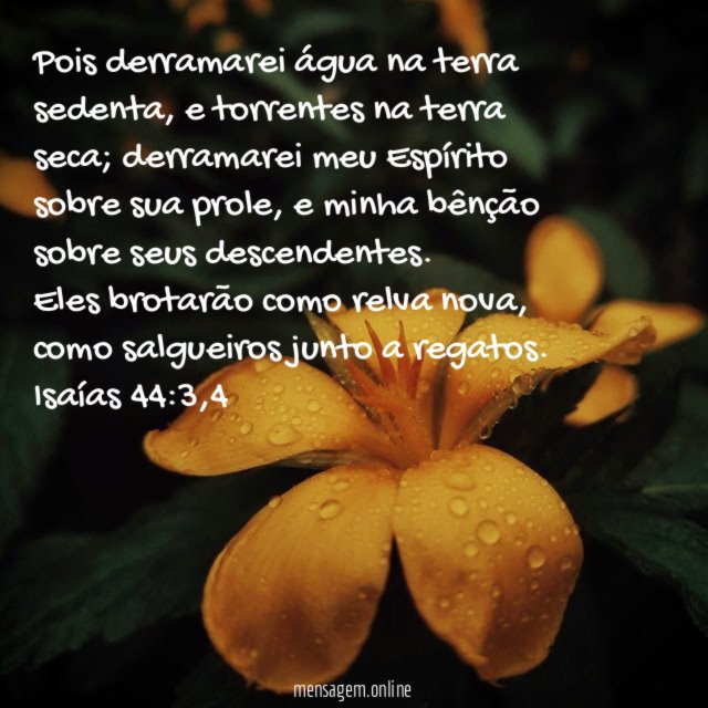 Pois derramarei água na terra sedenta