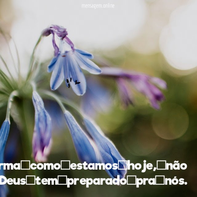 A forma como estamos hoje