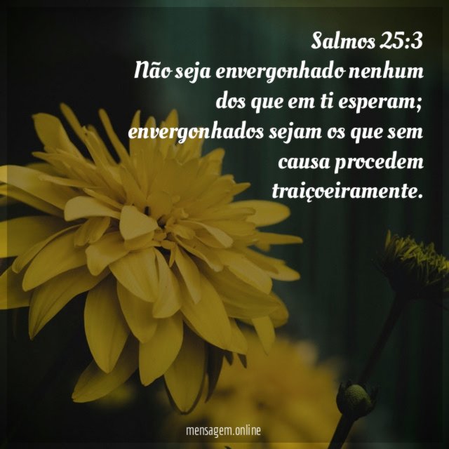 Salmos 25