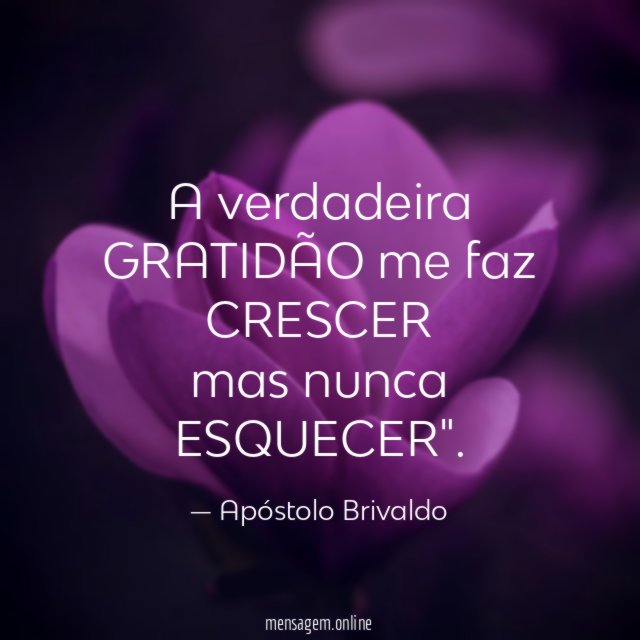 A verdadeira GRATIDÃO me faz CRESCER mas nunca ESQUECER"