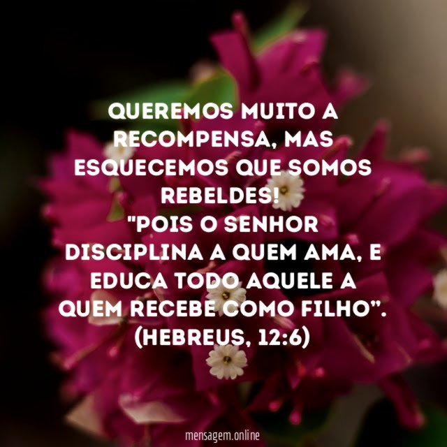 Queremos muito a Recompensa, mas esquecemos que somos rebeldes!