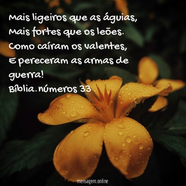 Mais ligeiros que as águias,
Mais fortes que os leões.
Como caíram os valentes,
E pereceram as armas de guerra!
