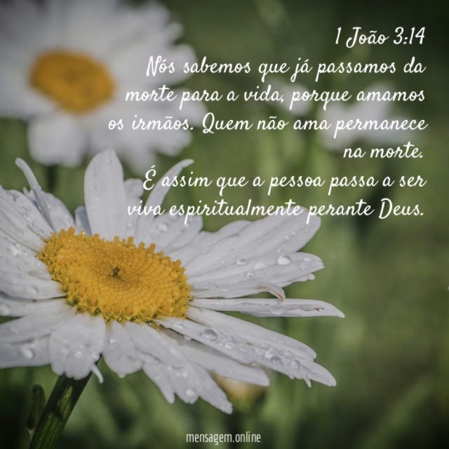 1 João 3:14
Nós sabemos que já passamos da morte para a vida, porque amamos os irmãos. Quem não ama permanece na morte.