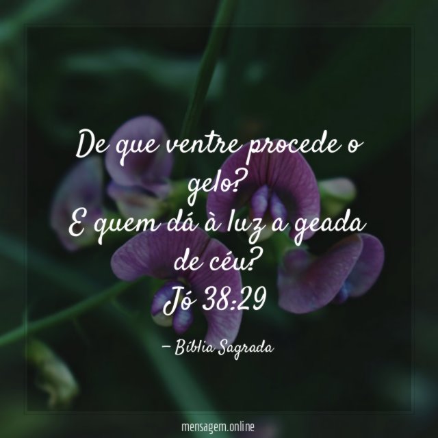 De que ventre procede o gelo