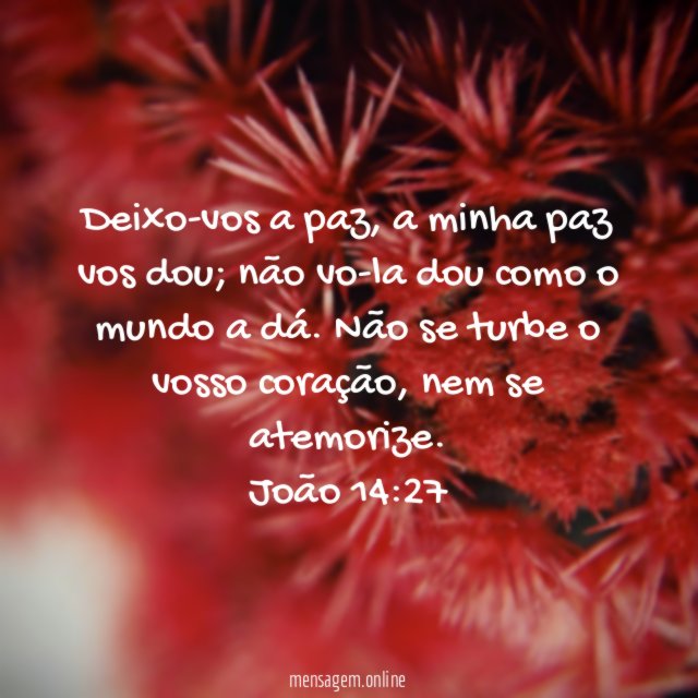 Deixo-vos a paz, a minha paz vos dou; não vo-la dou como o mundo a dá. Não se turbe o vosso coração, nem se atemorize.