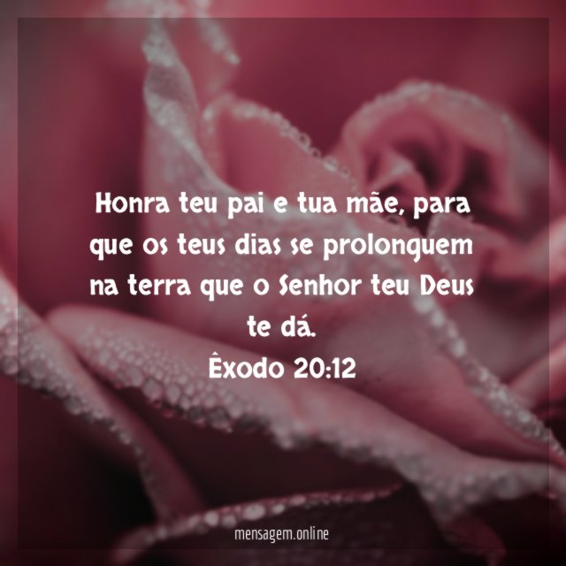 Honra teu pai e tua mãe, para que os teus dias se prolonguem na terra que o Senhor teu Deus te dá.