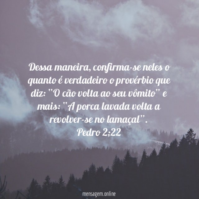 Dessa maneira, confirma-se neles o quanto é verdadeiro o provérbio que diz: “O cão volta ao seu vômito” e mais: “A porca lavada volta a revolver-se no lamaçal”.