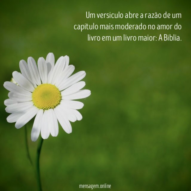 Um versículo abre a razão de um capítulo